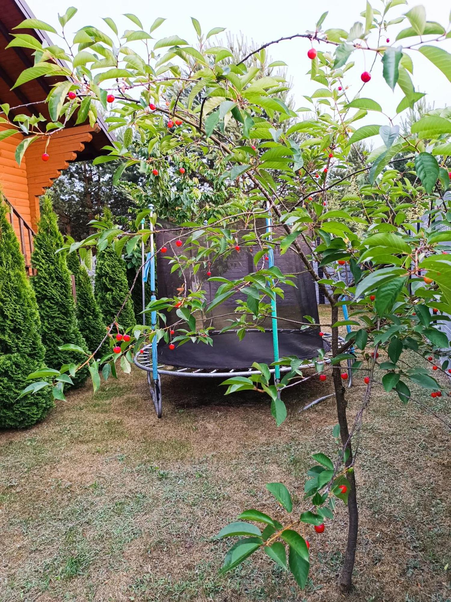 Лазурний Берег Pulemets Exterior foto